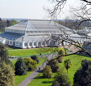 Temperate House